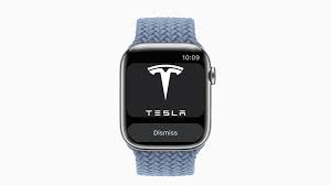 Elon Musk: Tesla plant offenbar eine App für die Apple Watch - COMPUTER BILD