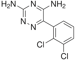 Ask your doctor for advice. Lamotrigine Wikipedia
