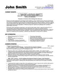 Click Here To Download This Vice President Of Development Resume Template Http Www Engineering Resume Templates Executive Resume Template Engineering Resume