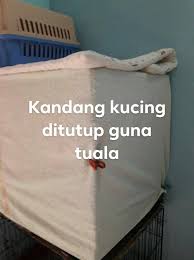 Ubat selsema, ubat selsema kucing chlorpheniramine, amni's online shop: Sapu Kunyit Pada Batang Hidung Rawatan Alternatif Sembuhkan Demam Selesema Kucing Mingguan Wanita