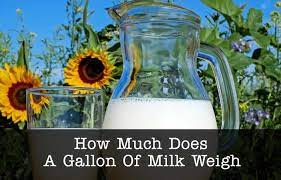 Yes whole milk and light skim milk weighs different and the skim milk weighs a bit less than whole milk but the average gallon of milk weighs in at 8 to 8 and half lbs. How Much Does A Gallon Of Milk Weigh Etcly