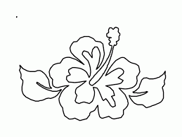 Set off fireworks to wish amer. Tropical Flowers Coloring Pages Coloring Home