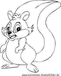 Ausmalbild Eichhornchen Ausdrucken Ausmalen Eichhornchen Ausmalbilder