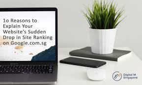 Millions of users in southeast asia are coming online every. 10 Reasons To Explain Your Website S Sudden Drop In Site Ranking On Google Com Sg