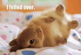 Happy Easter Funny Images Pictures And Easter Meme Cute Baby Animals Cute Animals Baby Animals
