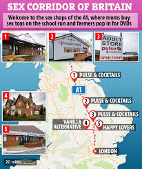 Welcome to the sex corridor of Britain where mums buy sex toys on the  school run and farmers pop in for DVDs – The Sun | The Sun