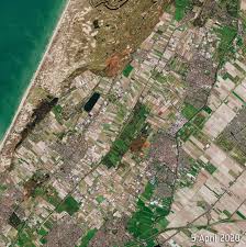 Experience the hustle and bustle of the world's largest flower auction in aalsmeer, the netherlands, a stone's throw from amsterdam. Dutch Tulip Fields Come Into Bloom In Stunning Satellite Images