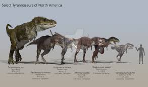 Select North American Tyrannosaurs By Paleoguy On Deviantart Prehistoric Animals Prehistoric Animals Dinosaurs Extinct Animals