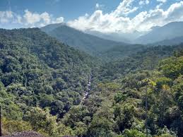 Big Review Of Parque Nacional Do Itatiaia Itatiaia Brazil Tripadvisor