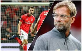 Sul nostro sito trovi in vendita online componenti in ferro battuto, acciaio inox e grigliati. Liverpool Look To Top World Record Transfer For Young Benfica Centre Back