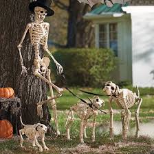 Halloween Decorations Halloween Decor Halloween Skeletons Outdoor Halloween Halloween Skeleton Decorations