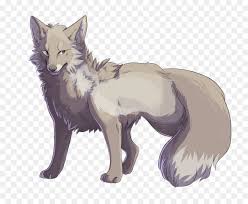The dogs also have broader, slightly more domed heads. Fox Drawing Png Download 2649 2121 Free Transparent Whiskers Png Download Cleanpng Kisspng