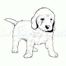 Bring a dog to life with your creativity. Free Coloring Pages Of Goldendoodle Puppies Funnypuppycoloringpages Dog Coloring Page Puppy Coloring Pages Golden Retriever Drawing