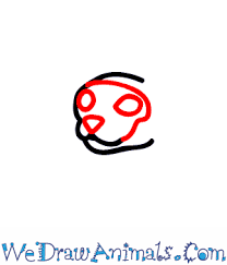 Step by step drawing tutorial on how to draw a siamese cat siamese cat belongs to asian cat. How To Draw A Siamese Cat