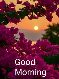 23 september 2020 good morning read cash