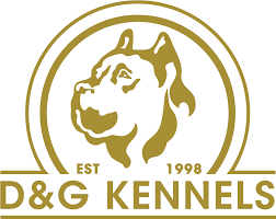 Presa canario puppies for sale in atlanta georgia, ga. Presa Canario Breeders In Georgia D G Kennels