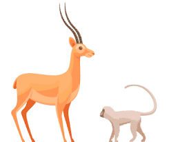 Check spelling or type a new query. Jungle Bayside Hotel Urlaub An Der Ostsee Scharbeutz