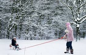 Meteoroloog leon saris van weerplaza voorspelt dat zaterdagavond op veel plaatsen de eerste sneeuwvlokken uit. In Brabant Wordt Het Echt Even Winter Met Paar Centimeter Sneeuw Die Blijft Liggen Brabant Bd Nl