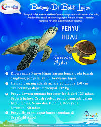 Ancol Taman Impian on X: Bintang Di Balik Layar yang satu ini yaitu Crush  Sea Turtle yang membantu menyelamatkan Marlin dan Dory untuk pergi ke  Sydney t.coIXRMKXYBG5  X