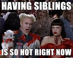 Being an only child is the best. Mrw I M An Only Child And National Siblings Day Becomes A Thing Meme On Imgur