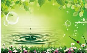 Dihalaman ini anda akan melihat background keren warna hijau yang menarik! Wallpaper Hijau Green Line Leaf Graphic Design Font 117036 Wallpaperuse