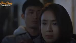 Cũng trong tập 30 hướng dương ngược nắng, trong chuyến về quê tìm và liên kết với hiệp hội các vùng trồng dược liệu, minh (thu trang) vô tình gặp lại phúc (doãn quốc đam) sau nhiều tháng ngày xa cách. Trá»±c Tiáº¿p Pháº§n 2 Táº­p 16 HÆ°á»›ng DÆ°Æ¡ng NgÆ°á»£c Náº¯ng 21h30 Hom Nay 29 3 Tren Vtv3