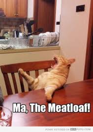 Ma The Meatloaf Funny Pictures Animal Captions Funny Animal Pictures