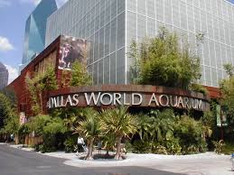 A birthday party at houston interactive is a unique experience! Dallas World Aquarium Wikipedia