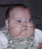 Obituary information for Harley Ann Shiffer