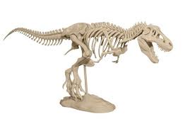 Rex fossils are found in western north america, from alberta to texas. T Rex Skeleton By Makerbot Thingiverse