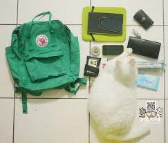 投稿 what s in your kanken bag 徵件活動款式 kanken classic 648 teal green 水鴨綠說明 這是我每天都會帶去上班的必需品我每天會家 奶茶都會幫我整理書包 也常常鑽進書包裡 我想他也很想跟我去上班 roupas