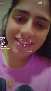 Discover NZ Punjabi Culture: Insights and Tips