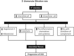 Metabolic Acidosis Of Ckd An Update American Journal Of Kidney Diseases
