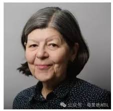 Welcome to Our Judges