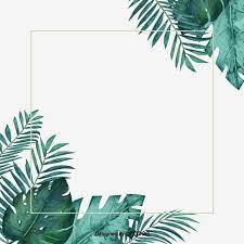 Borda Linear De Pequena Palmeira Tropical Refrescante Verde Foto Clipart Palma Botanica Imagem Png E Psd Para Download Gratuito Floral Poster Flower Frame Floral Background