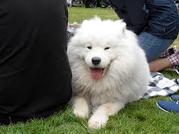 SA Rescue Rally 2011