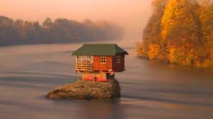 Tiny house plans (sometimes referred to as tiny house designs or small house plans under 1000 sq ft) are easier to maintain and more affordable than larger home designs. 13 Cute Tiny Home Designs You Must See To Believe