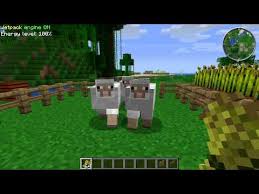 Minecraft Schafe Zahmen Youtube
