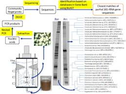 Maybe you would like to learn more about one of these? Simultaneous Treatment Of Raw Palm Oil Mill Effluent And Biodegradation Of Palm Fiber In A High Rate Cstr Sciencedirect