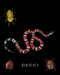 Make your own new tab experience, with lots of handy add on. 96 Gucci Snake Wallpaper On Wallpapersafari