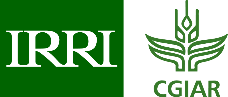 IRRI / BRRI / PETRRA