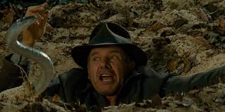 He hates them with the same intensity indy hates snakes. Best Indiana Jones Quotes Quotesgram