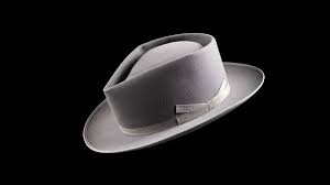 Image result for Blendtone Gray 1983 Hussmann