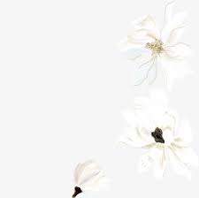 Download Png Flowers White Png Gif Base Flower png cliparts, all these png images has no background, free & unlimited downloads. download png flowers white png gif base
