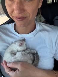 Family life @sophiaguymer (@ourlilwolfpack) • Instagram photos and videos