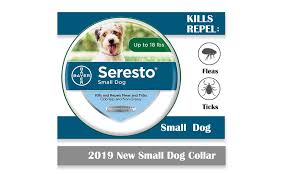 Seresto small dog flea and tick 8 month collar. Up To 76 Off On Bayer Seresto Collar For Smal Groupon Goods
