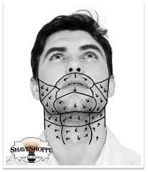 There's more to it than first meets the eye; Face Mapping Hair Growth Patterns The Shave Shoppe