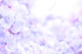 Purple valentines day greeting card. Abstract Soft Sweet Blue Purple Flower Background From Begonia Stock Photo Picture And Royalty Free Image Image 42774934