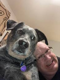 Crochet Headband Pattern