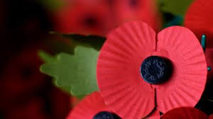 From only from childhood memories of too long ago. Remembrance Day Why Might Someone Not Wear A Poppy Cbbc Newsround